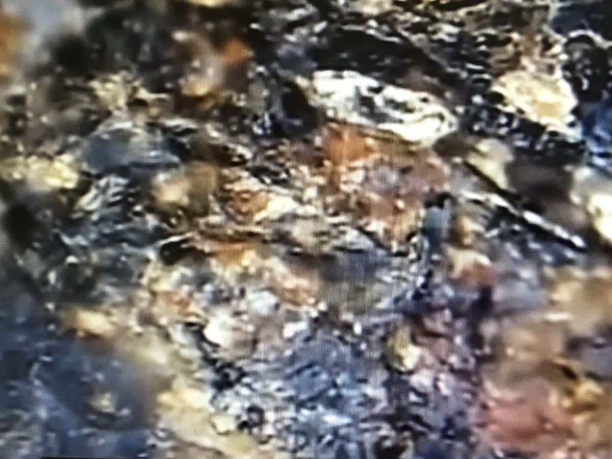 f:id:tomaatlas:20190628163508j:plain