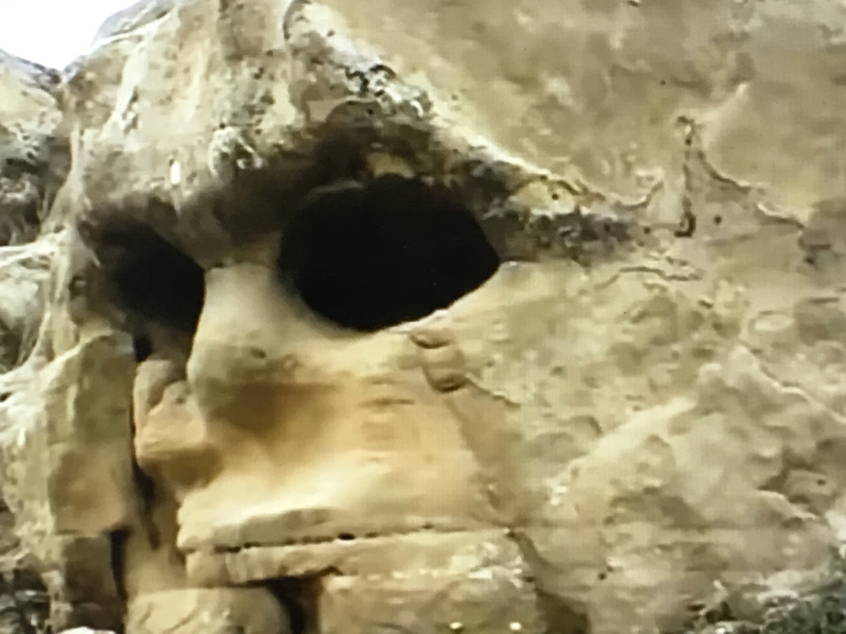 f:id:tomaatlas:20190628163824j:plain