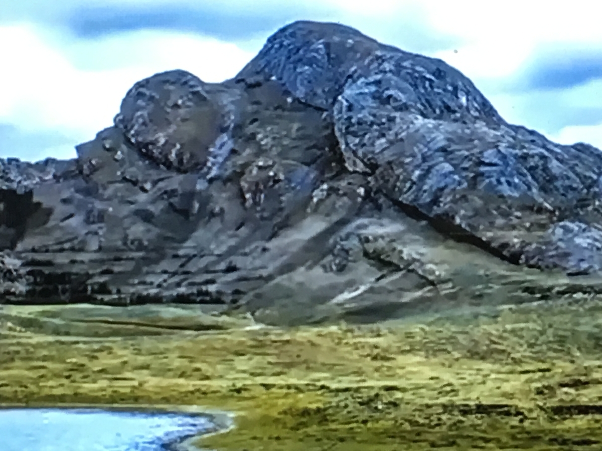 f:id:tomaatlas:20190628163932j:plain