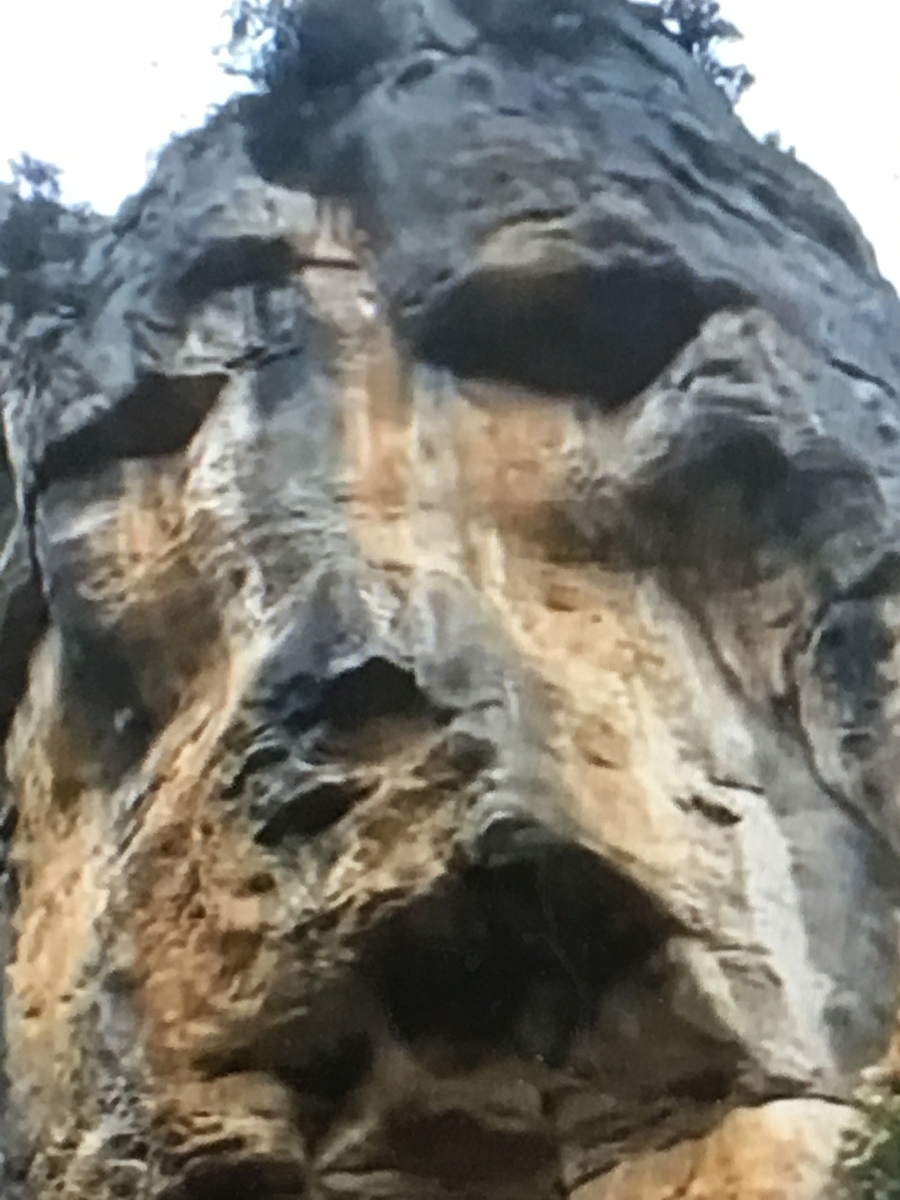 f:id:tomaatlas:20190628164143j:plain