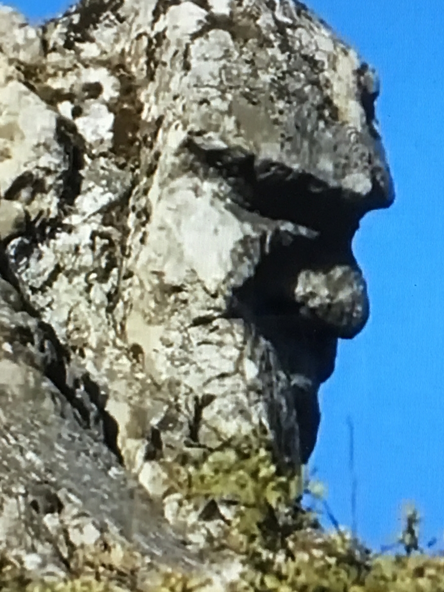 f:id:tomaatlas:20190628164447j:plain