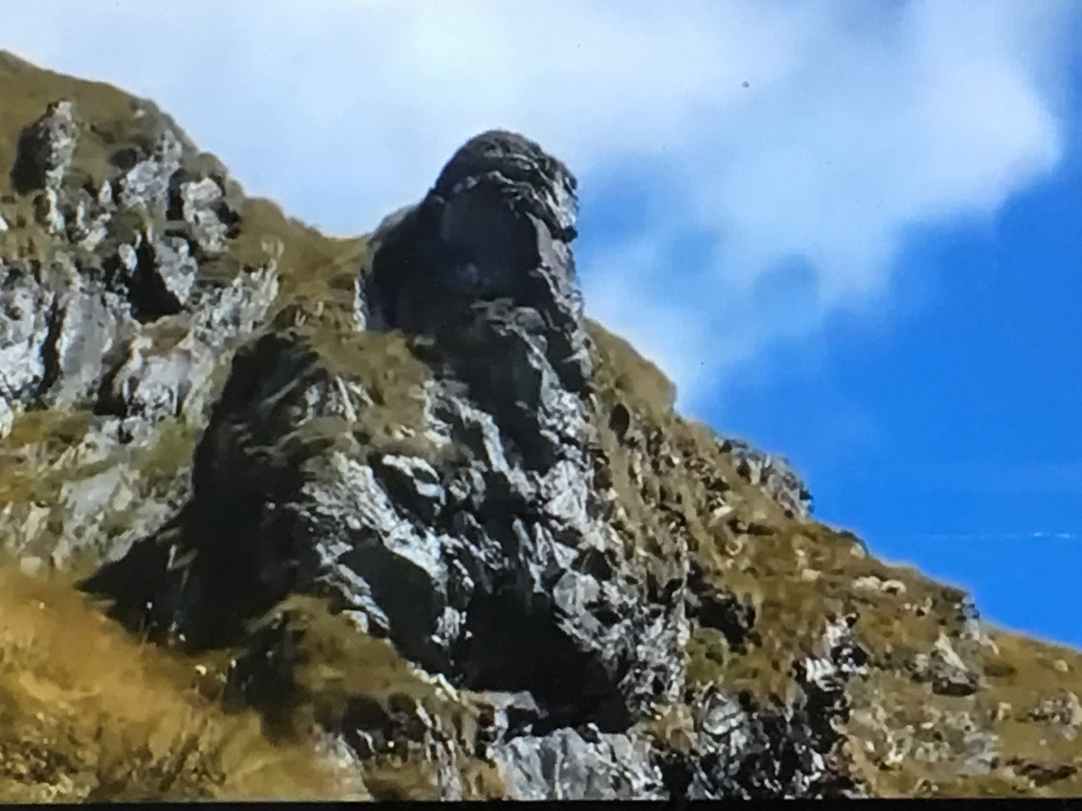 f:id:tomaatlas:20190628164601j:plain