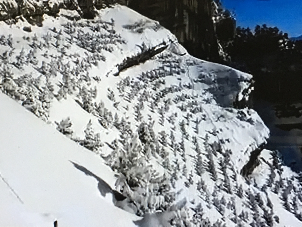 f:id:tomaatlas:20190628164703j:plain