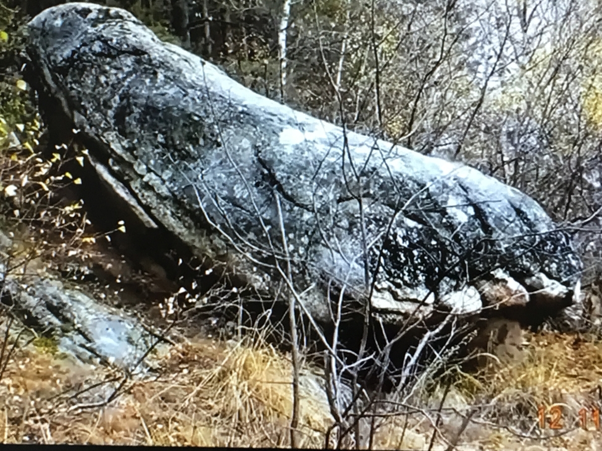 f:id:tomaatlas:20190628164816j:plain