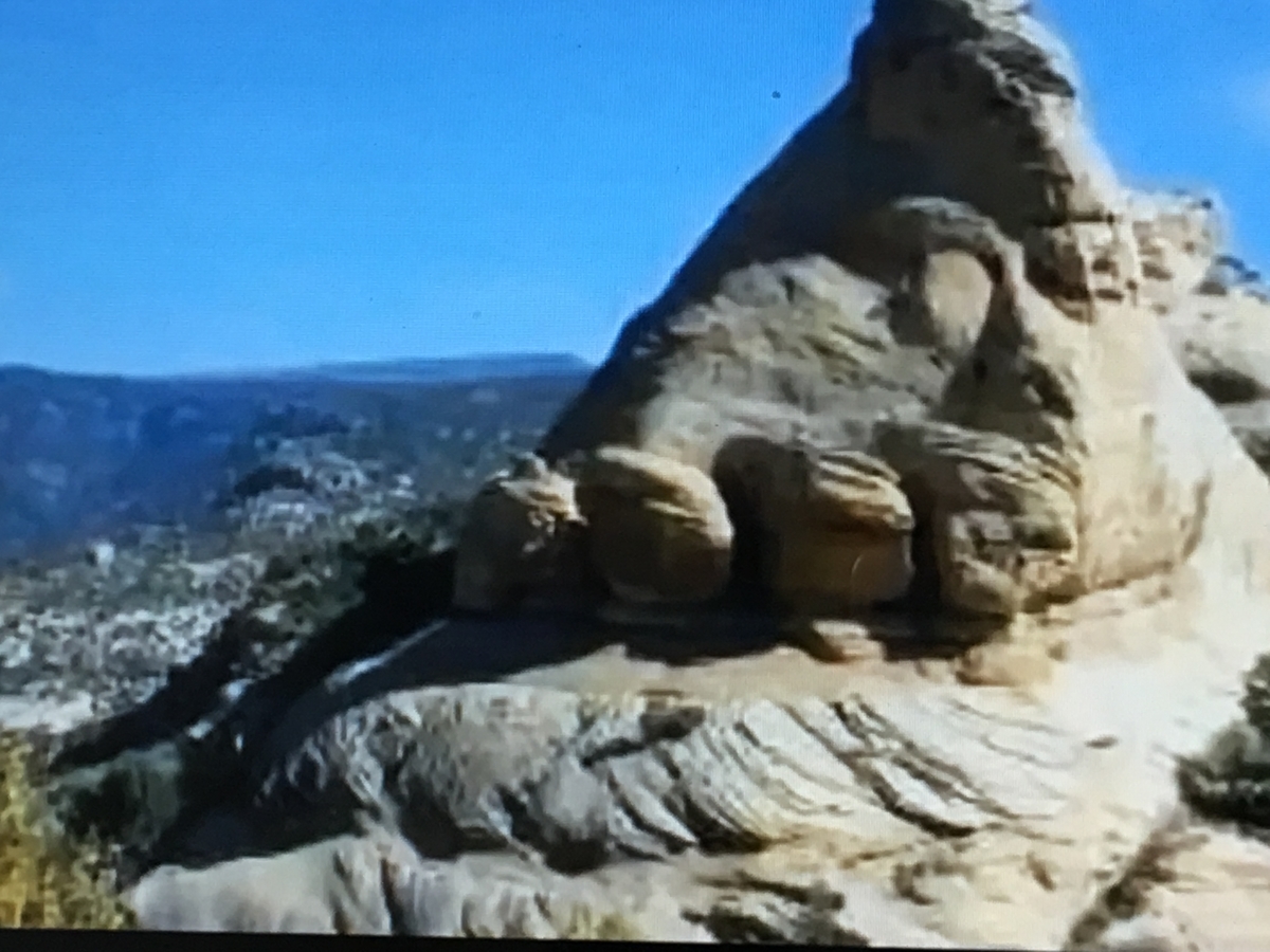 f:id:tomaatlas:20190628164837j:plain