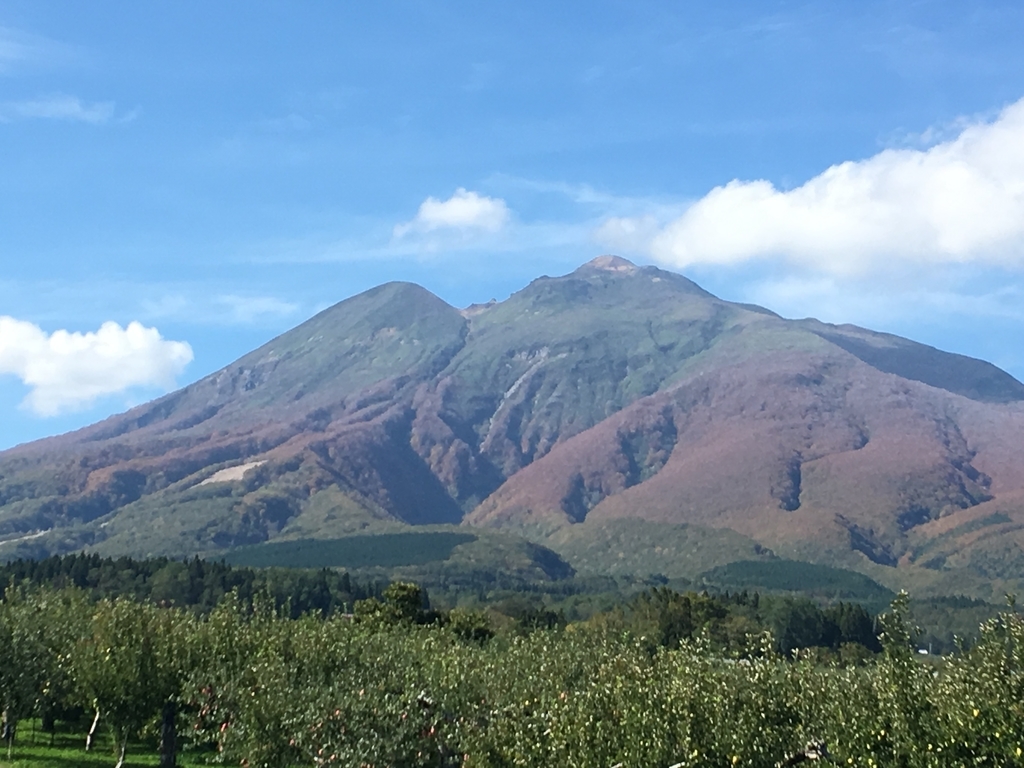 f:id:tomaatlas:20190628165551j:plain