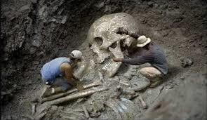 f:id:tomaatlas:20190628170744j:plain