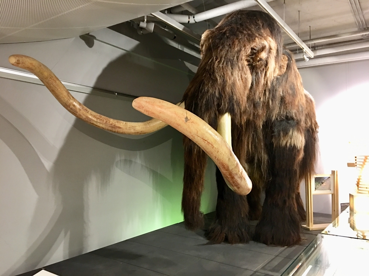 f:id:tomaatlas:20190628171138j:plain