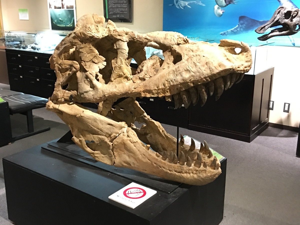 f:id:tomaatlas:20190628171220j:plain