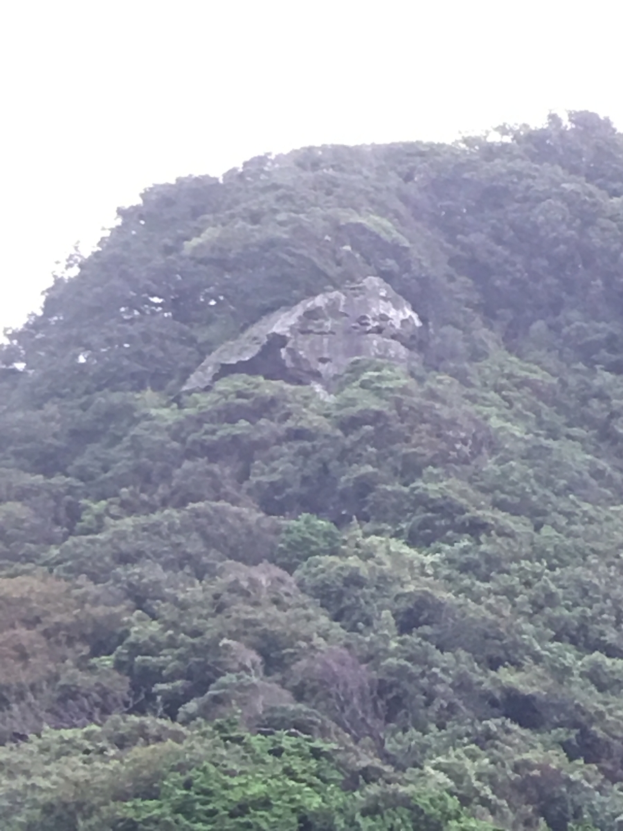 f:id:tomaatlas:20190713213409j:plain