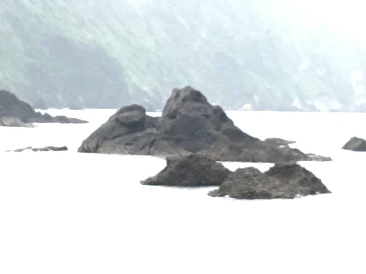 f:id:tomaatlas:20190713213436j:plain