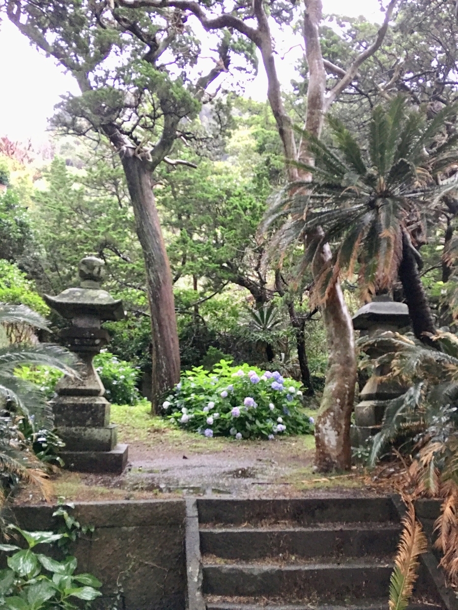 f:id:tomaatlas:20190713213602j:plain