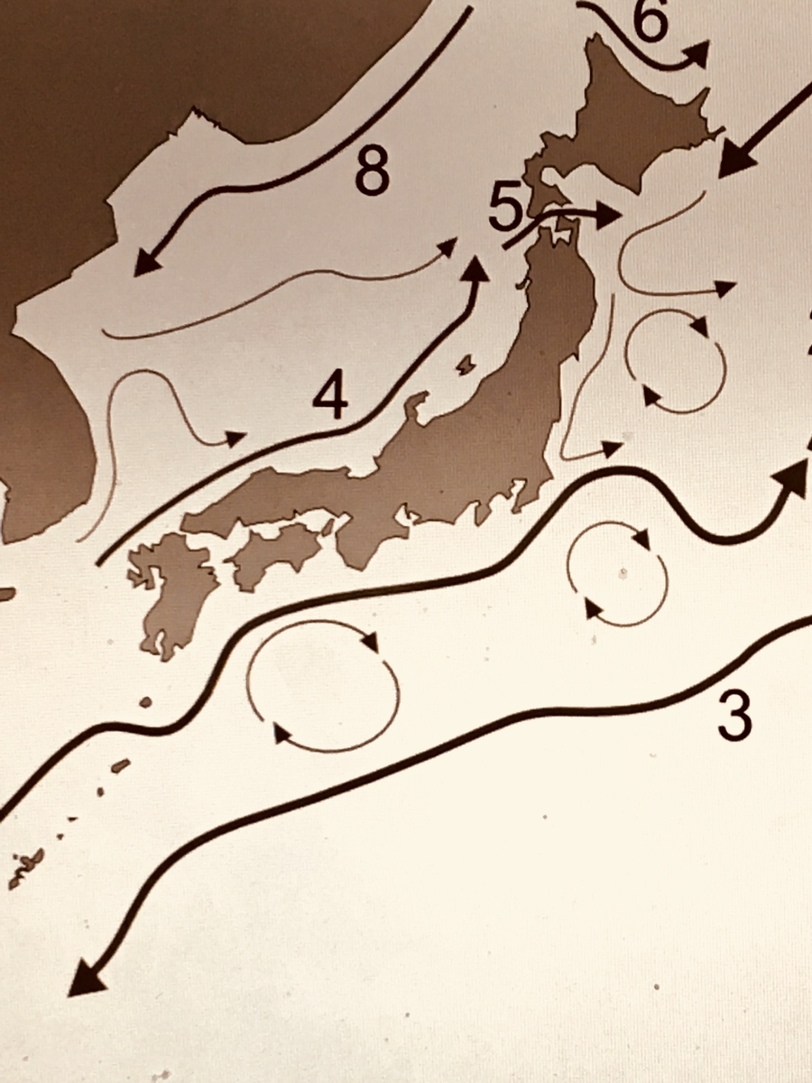 f:id:tomaatlas:20190730175214j:plain f:id:tomaatlas:20190730175214j:plain