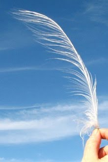 f:id:tomaatlas:20190904104134j:plain