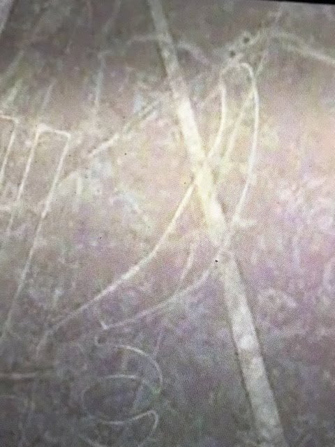 f:id:tomaatlas:20191113143203j:plain f:id:tomaatlas:20191113143203j:plain