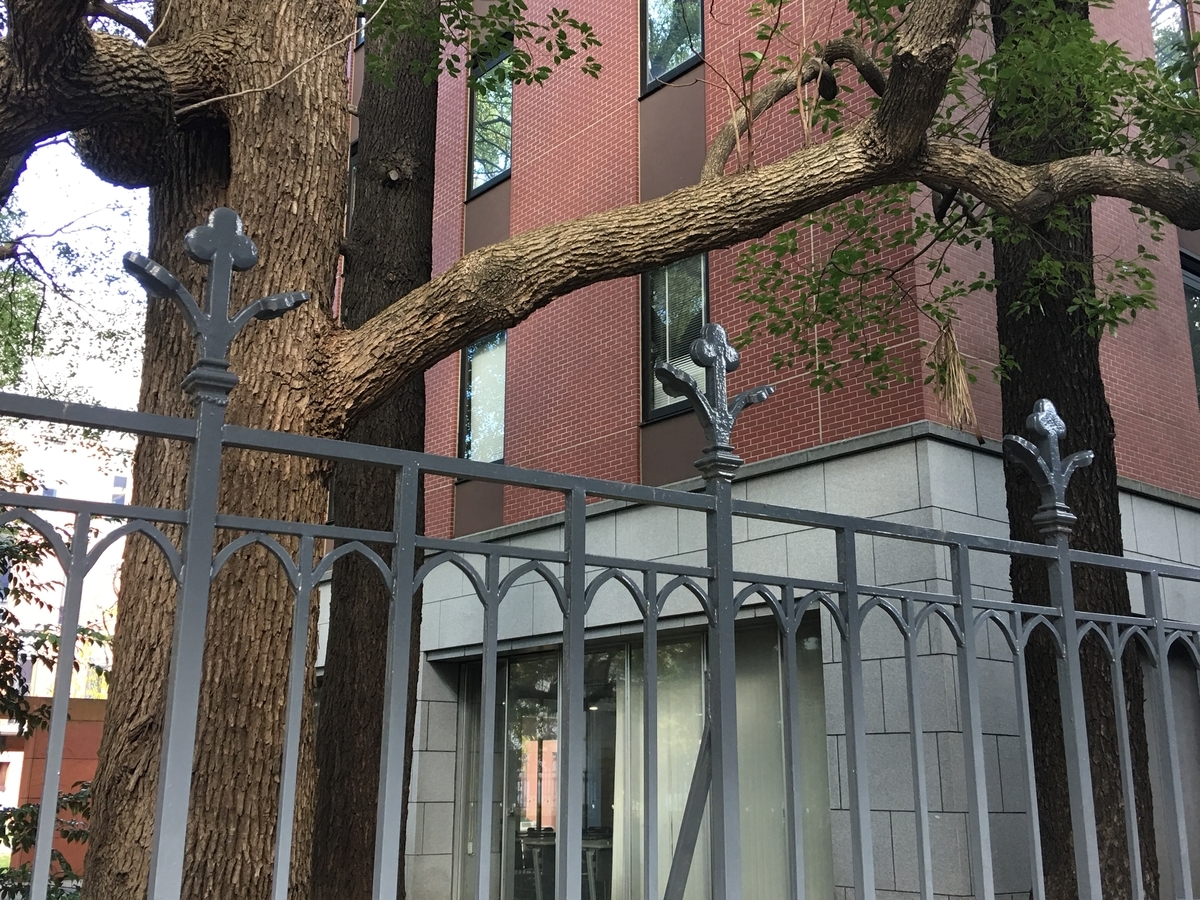 f:id:tomaatlas:20191206213059j:plain