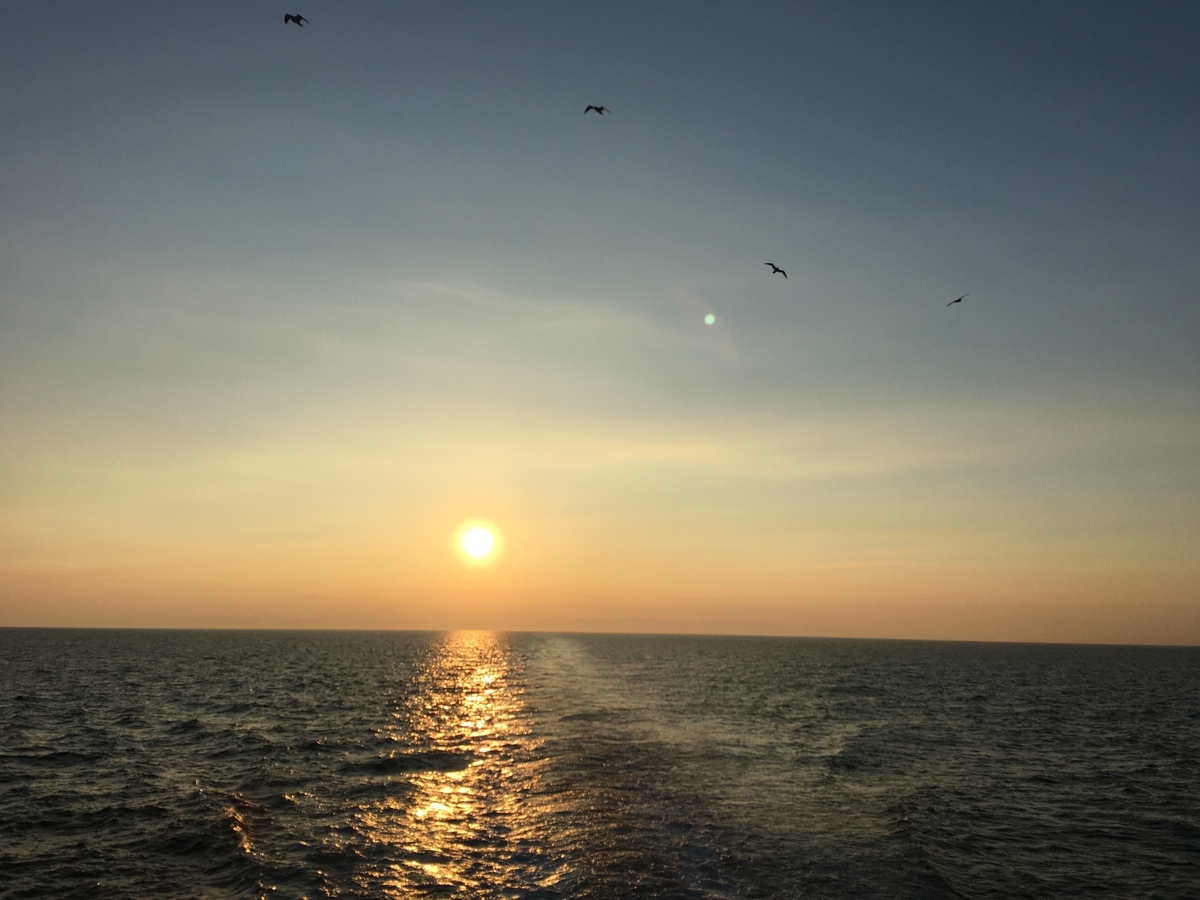 f:id:tomaatlas:20200821201502j:plain