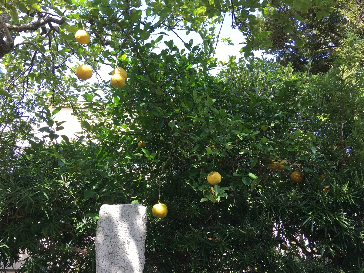 f:id:tomaatlas:20200911183820j:plain