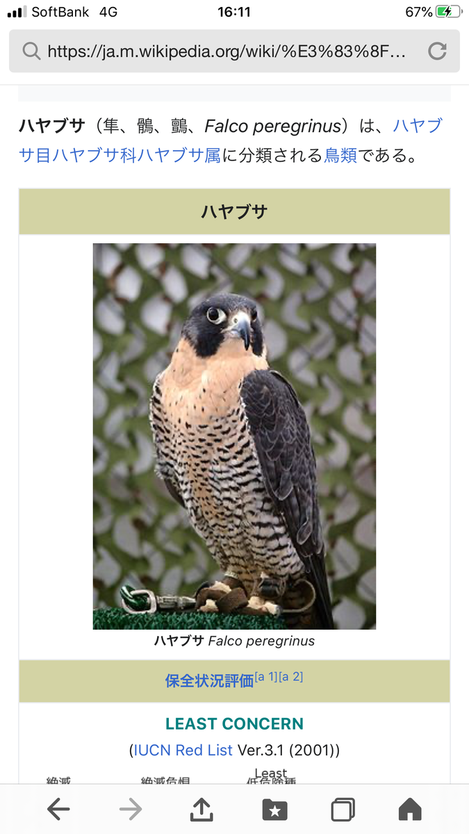 f:id:tomaatlas:20201023171129p:plain f:id:tomaatlas:20201023171129p:plain