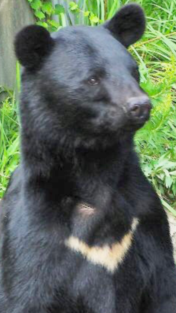 f:id:tomaatlas:20201027035037p:plain f:id:tomaatlas:20201027035037p:plain