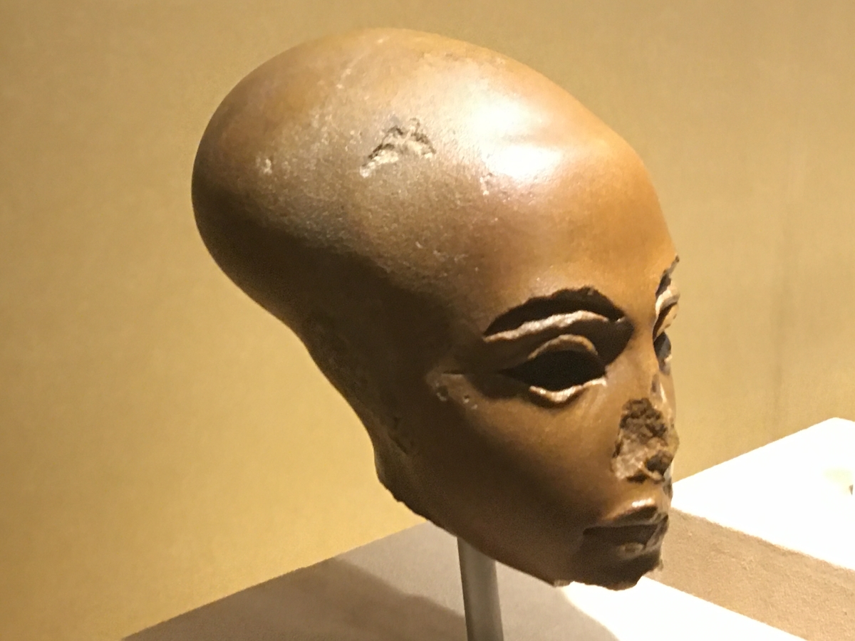 f:id:tomaatlas:20201217154055j:plain