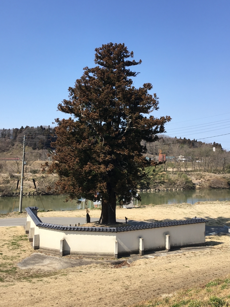 f:id:tomaatlas:20210315215534j:plain