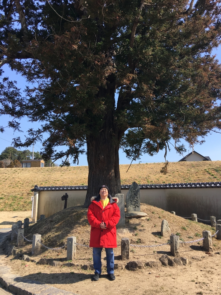 f:id:tomaatlas:20210315215603j:plain