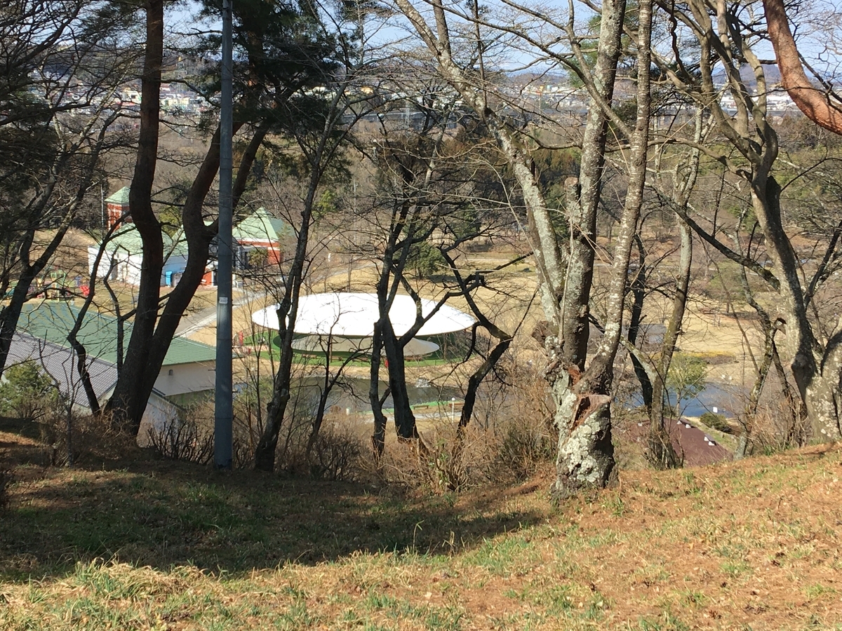 f:id:tomaatlas:20210315215902j:plain