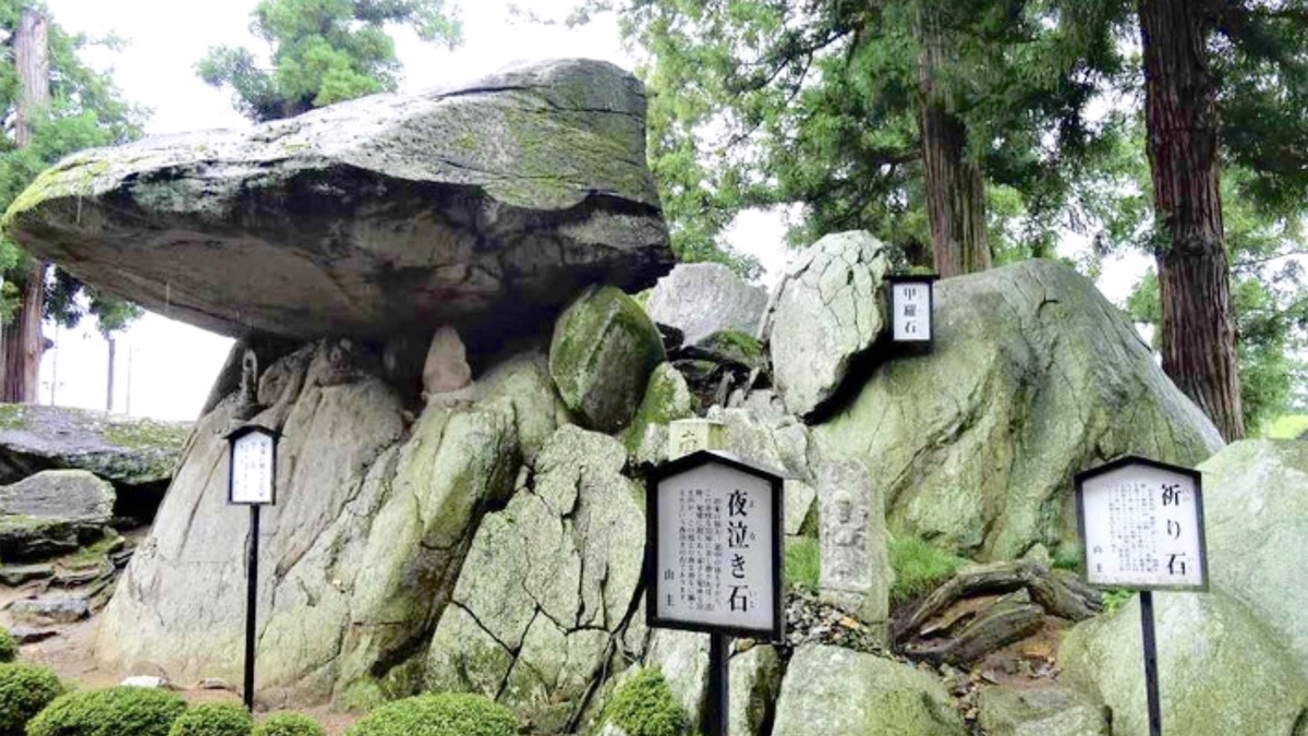 f:id:tomaatlas:20210315224643j:plain