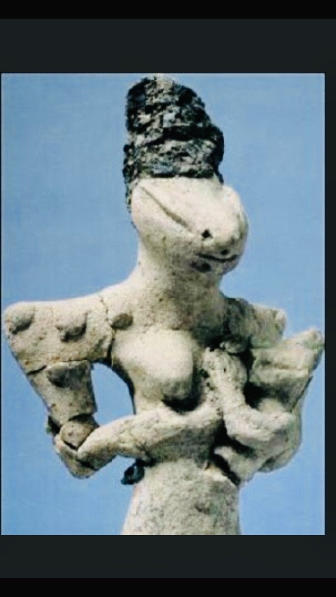 f:id:tomaatlas:20210315224703j:plain