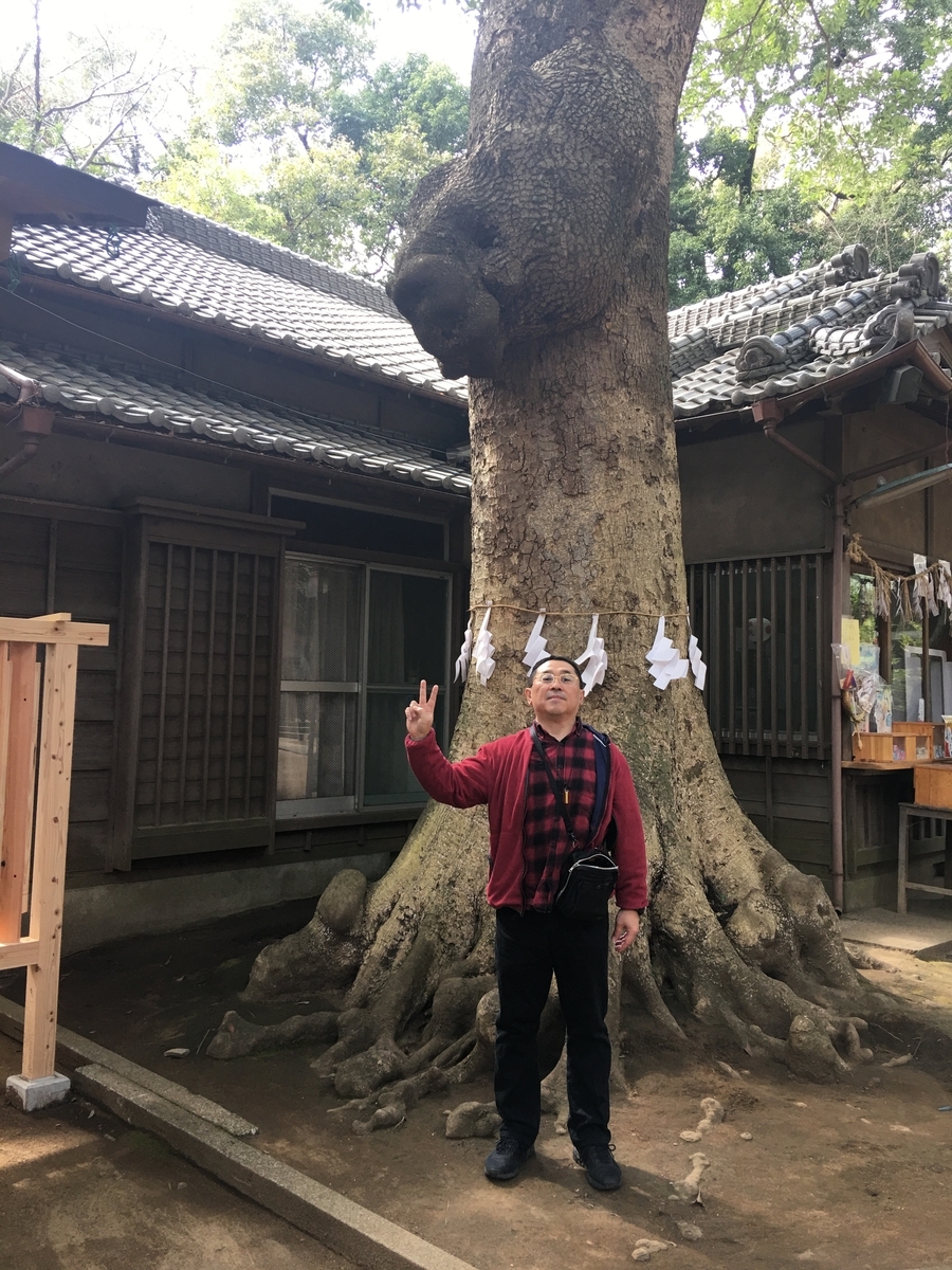 f:id:tomaatlas:20210323134357j:plain