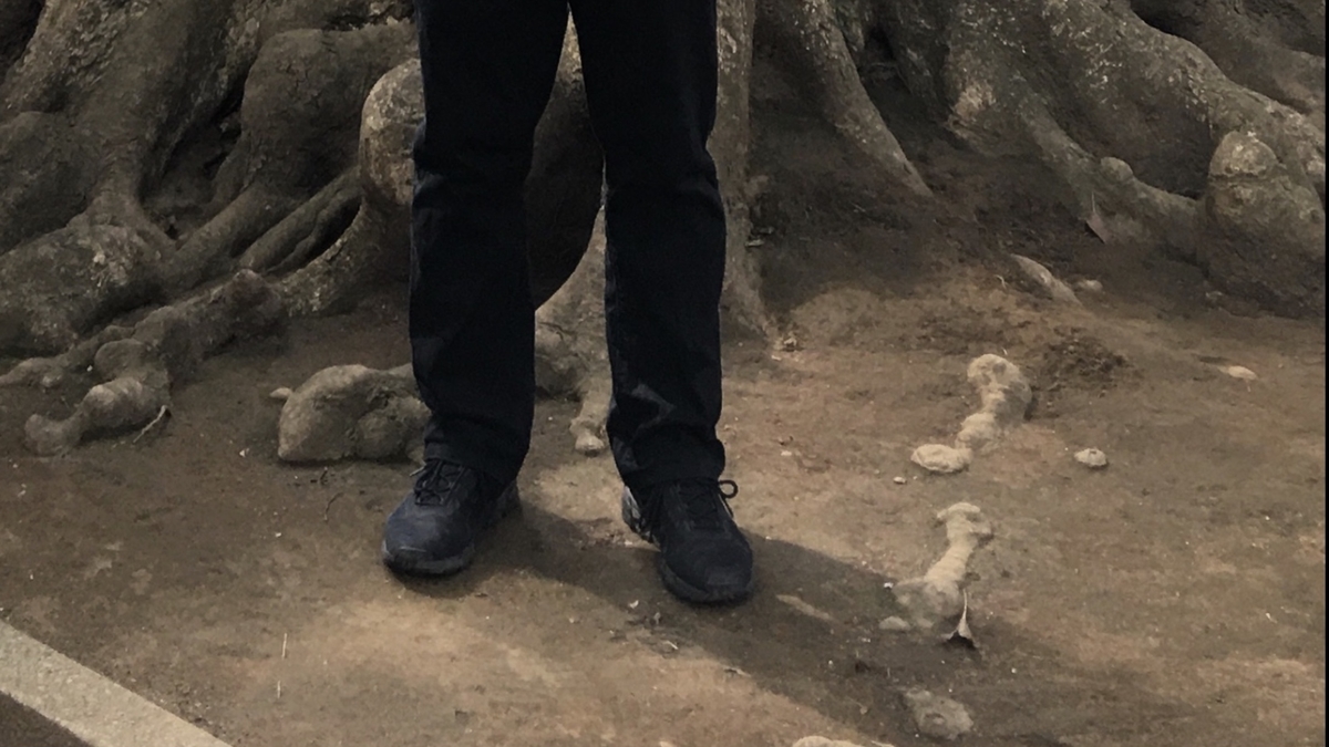 f:id:tomaatlas:20210323160956j:plain