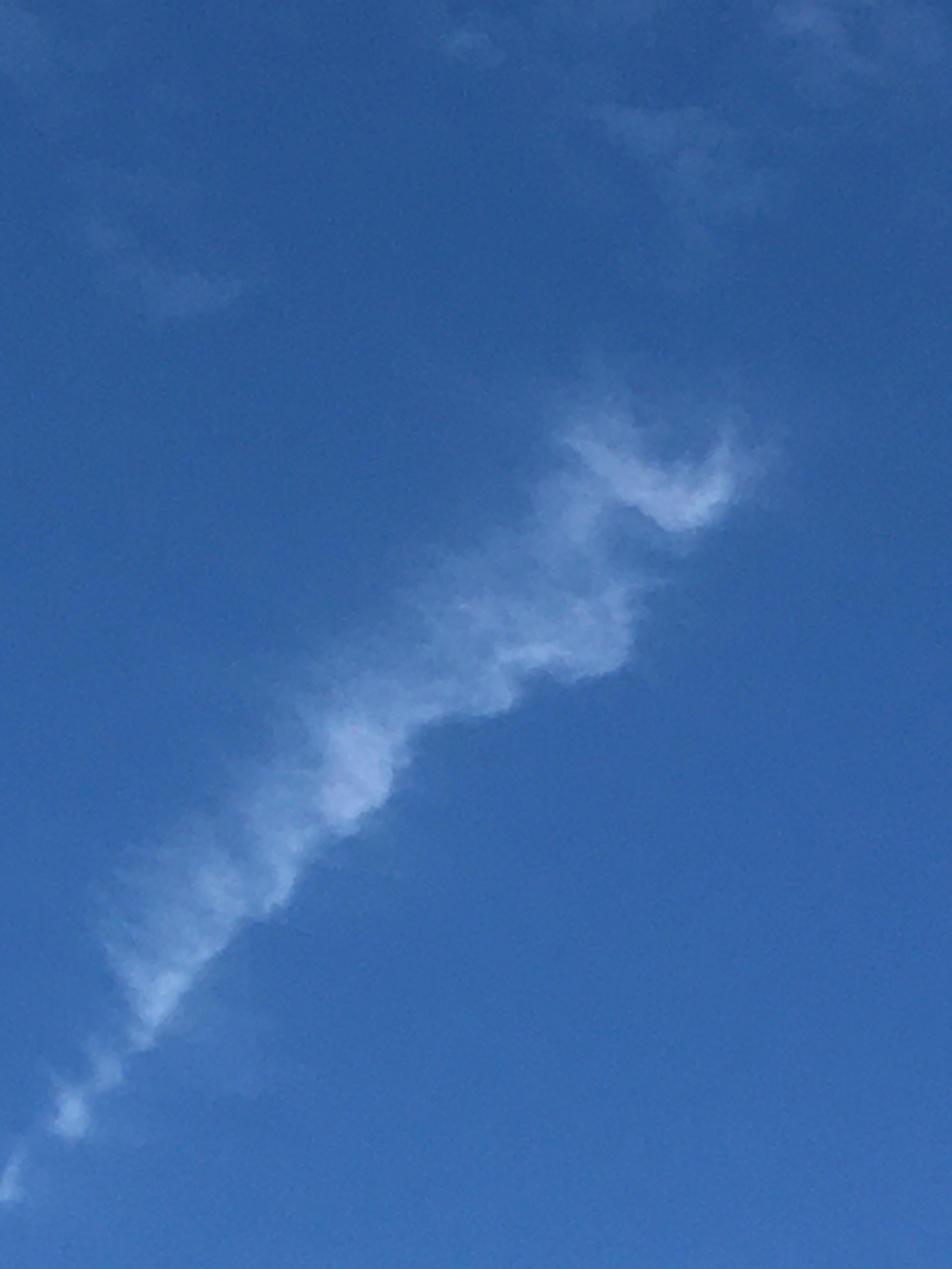 f:id:tomaatlas:20210621194256j:plain