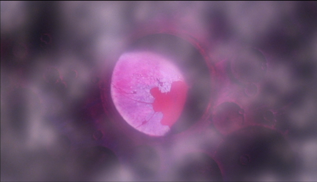 f:id:tomaonarossi:20201025185710p:plain f:id:tomaonarossi:20201025185710p:plain