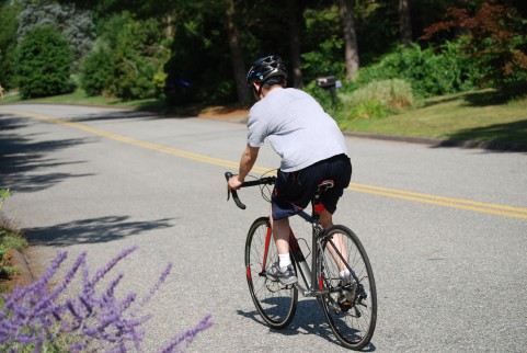 f:id:tomaruyonago:20151112092126j:plain