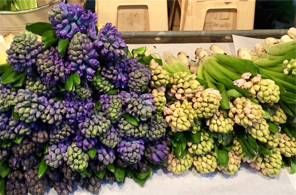 f:id:tomateo:20180127080918j:image