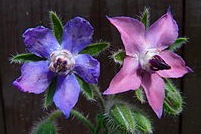 f:id:tomateo:20180204174048j:plain f:id:tomateo:20180204174048j:plain