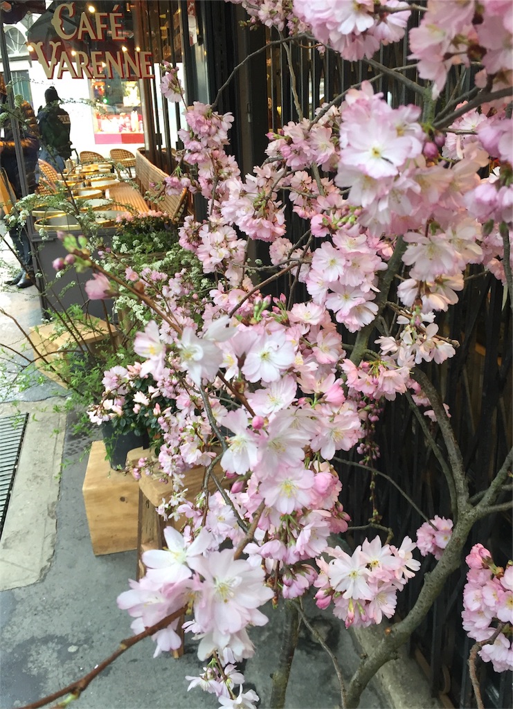 f:id:tomateo:20180328043029j:image f:id:tomateo:20180328043029j:image
