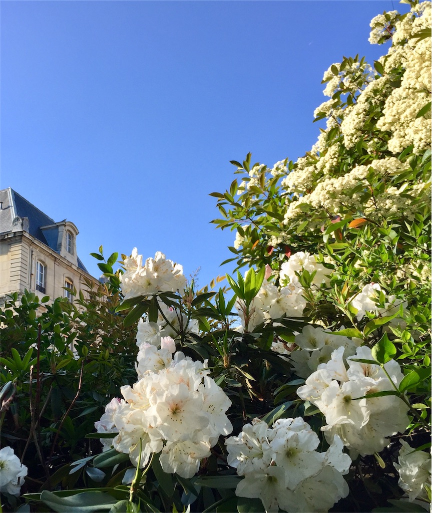 f:id:tomateo:20180503193701j:image f:id:tomateo:20180503193701j:image