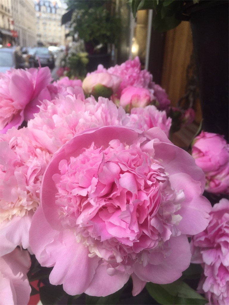 f:id:tomateo:20180617150510j:image
