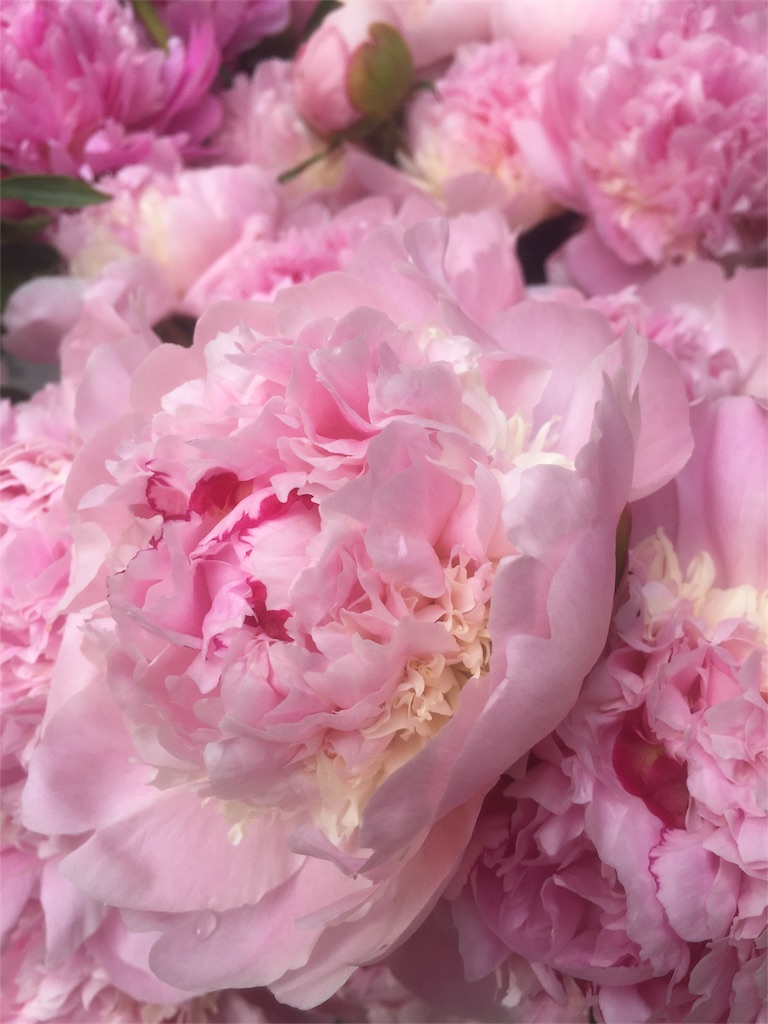 f:id:tomateo:20180617160702j:image