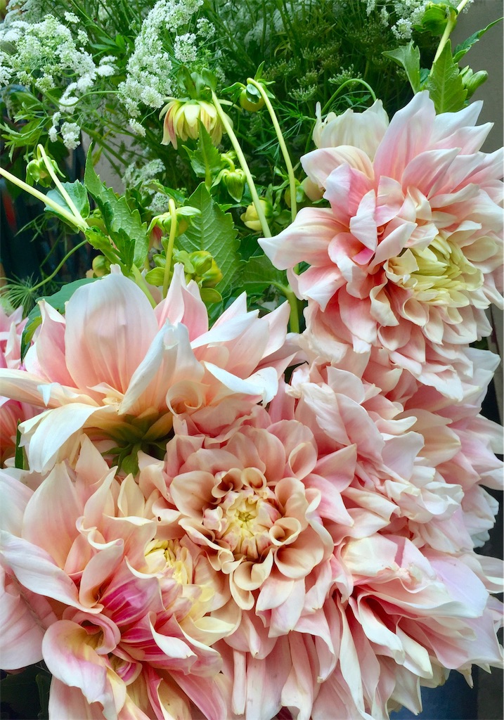 f:id:tomateo:20181003202423j:plain