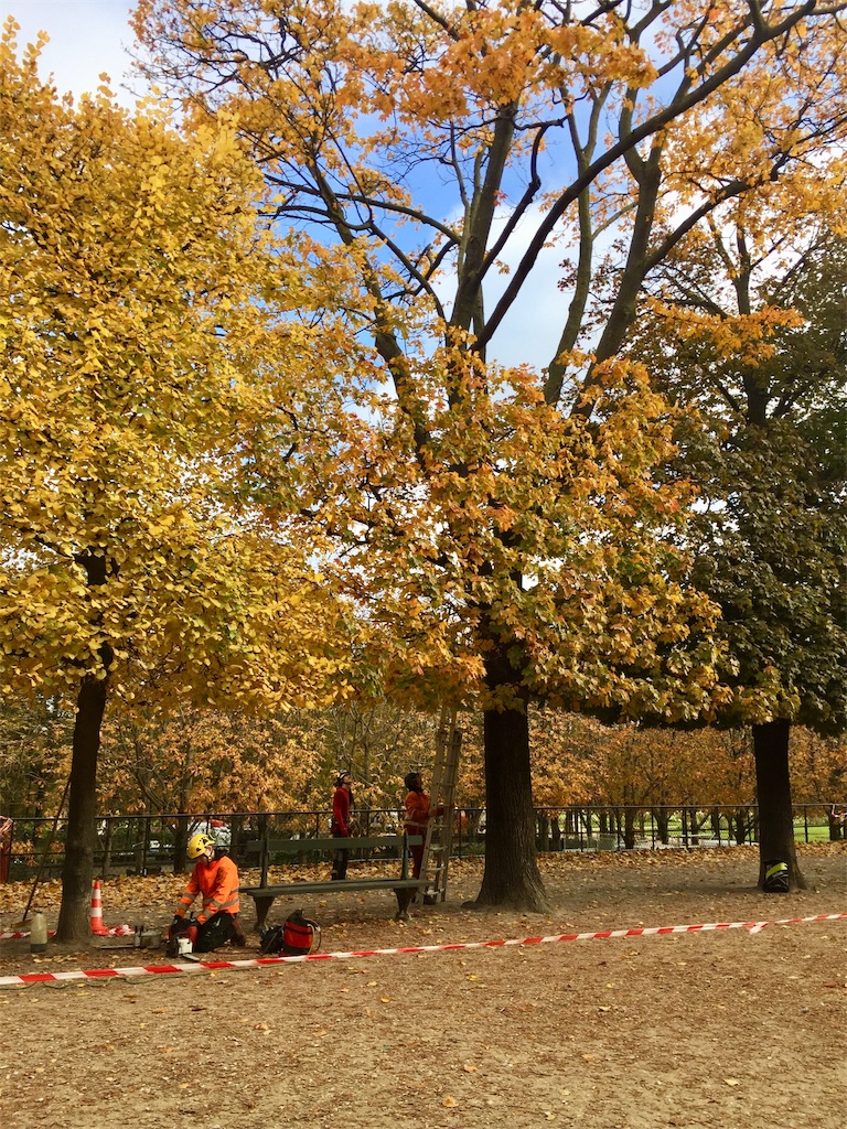 f:id:tomateo:20181108190529j:image f:id:tomateo:20181108190529j:image