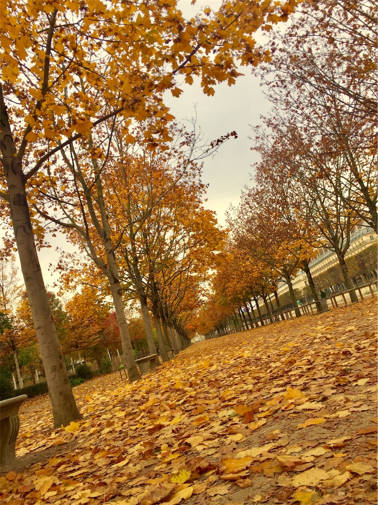 f:id:tomateo:20181109190114j:image f:id:tomateo:20181109190114j:image