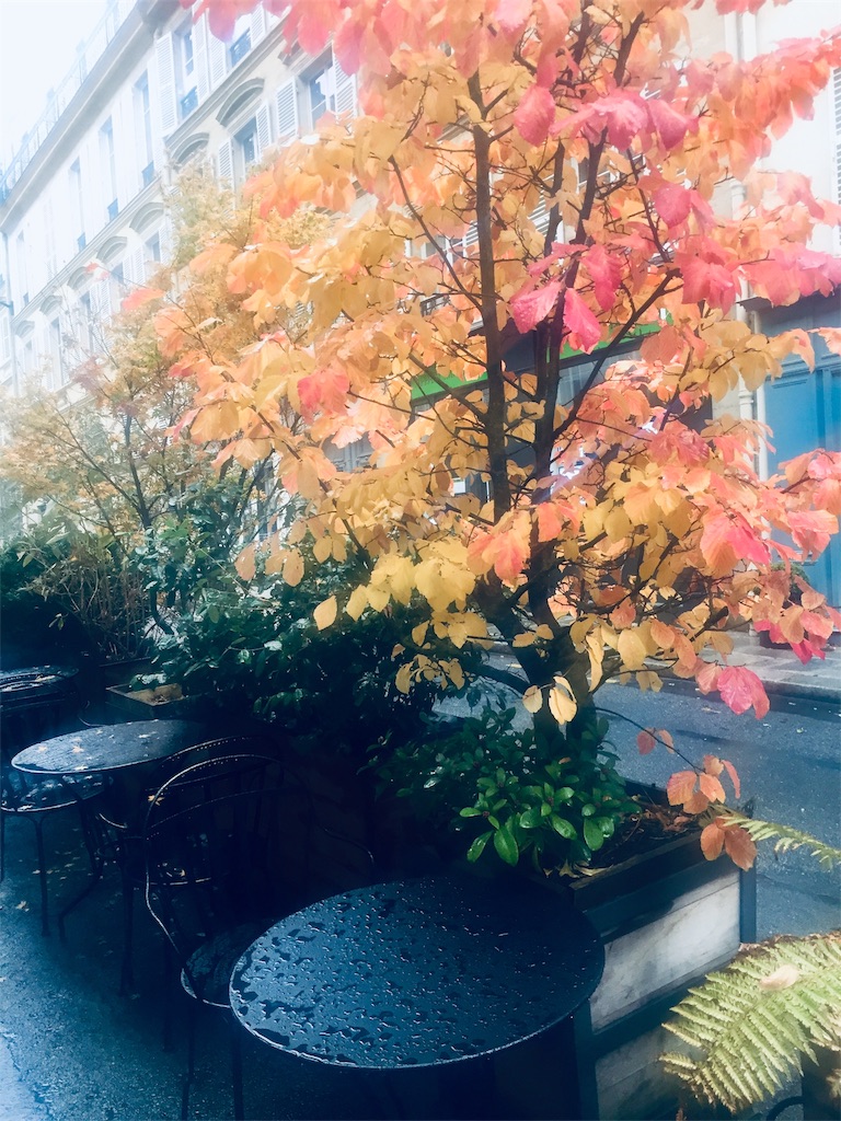 f:id:tomateo:20181112215954j:image