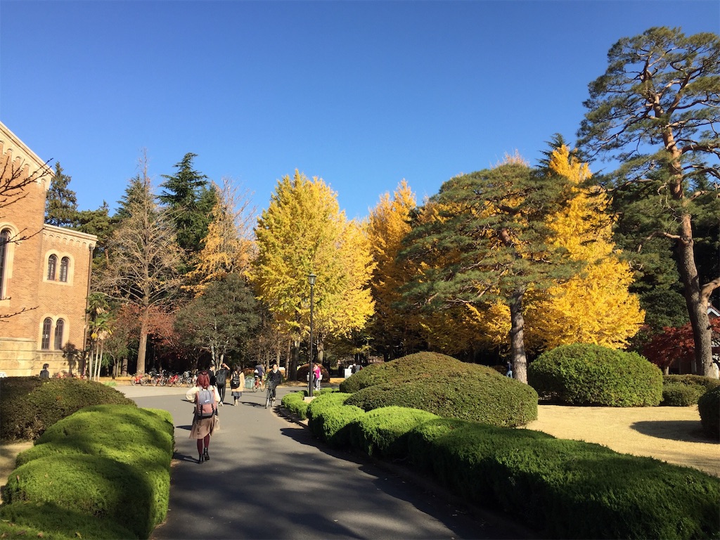 f:id:tomateo:20181130205426j:image