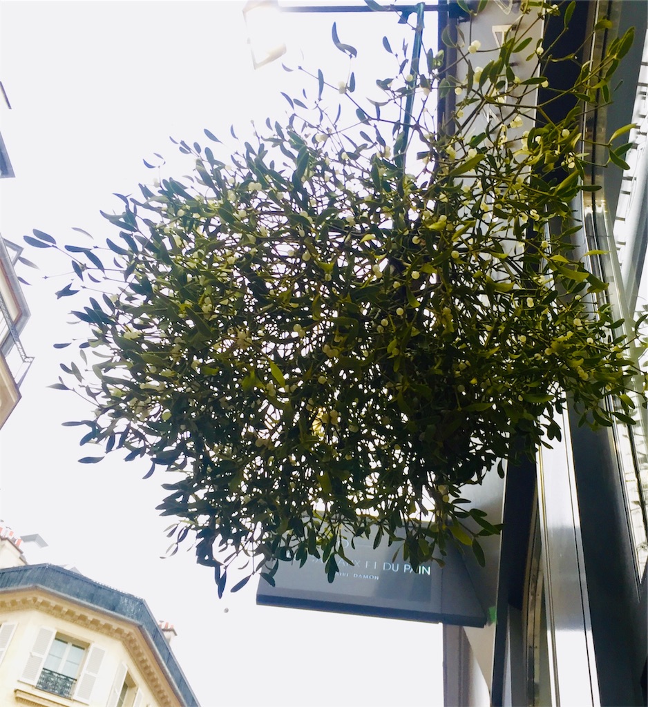 f:id:tomateo:20190109213650j:image f:id:tomateo:20190109213650j:image