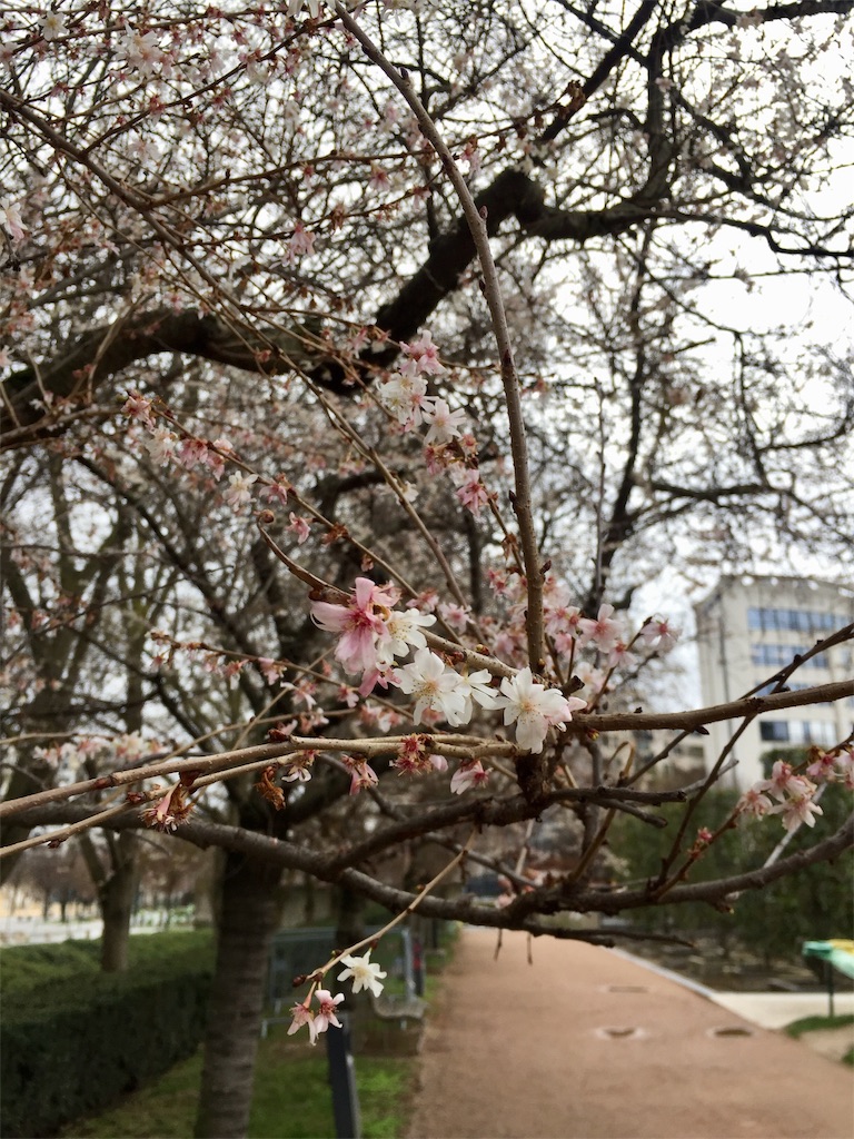 f:id:tomateo:20190208224134j:plain f:id:tomateo:20190208224134j:plain