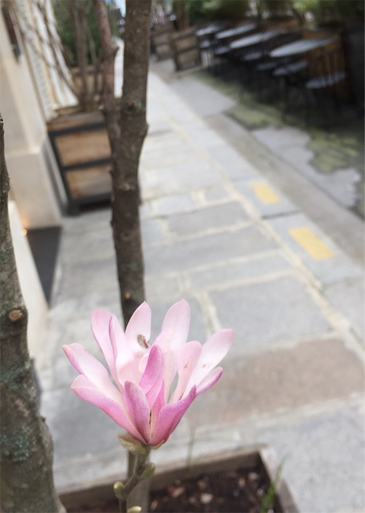 f:id:tomateo:20190318205458j:image f:id:tomateo:20190318205458j:image