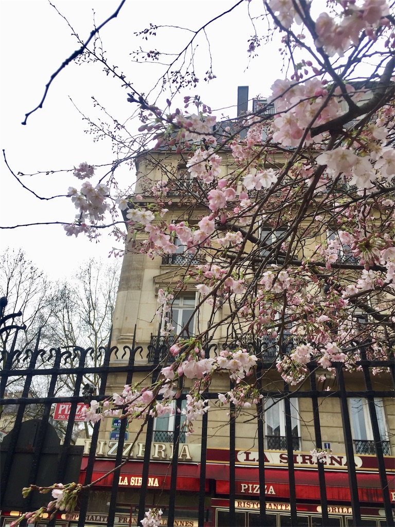 f:id:tomateo:20190320202720j:image